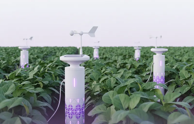 Smart agriculture IoT field